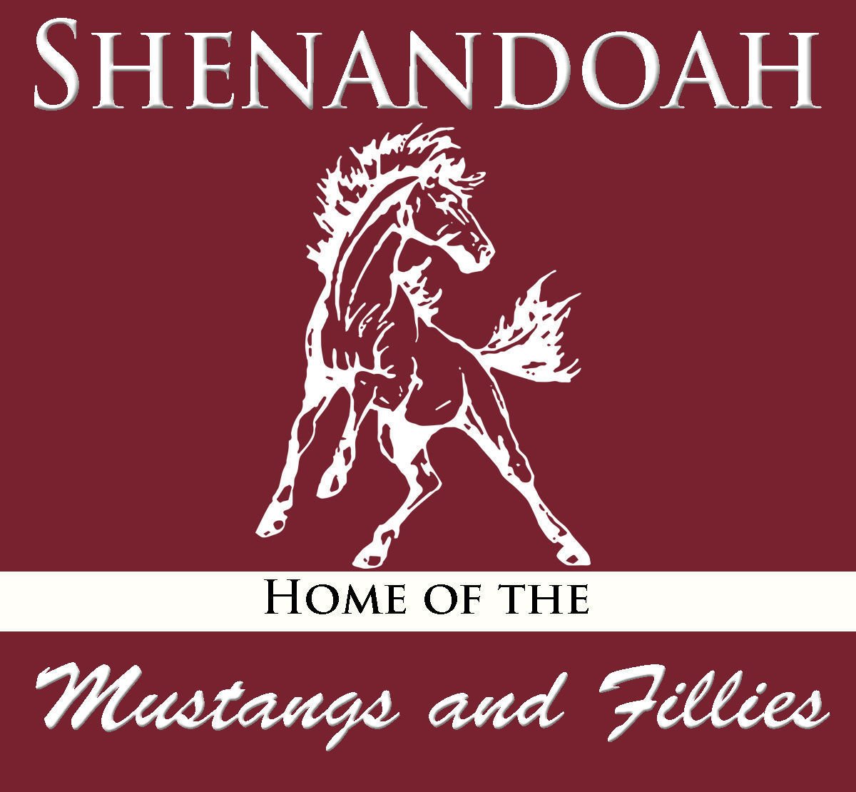 Shenandoah Mustangs and Fillies